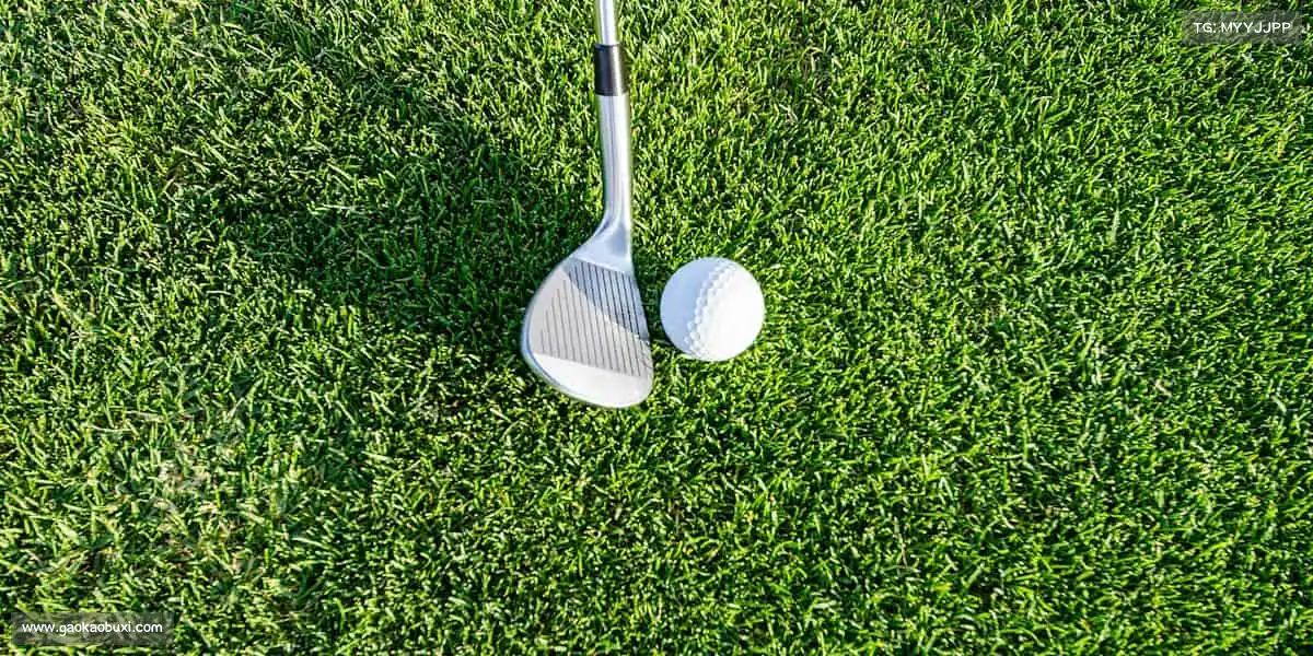 南宫NG28⚾️/🏐/🎾（任选图标）一球一世界，一动一精彩 —— 让热爱，成为生活的标配！